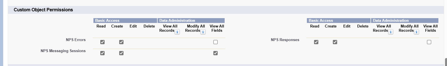 Custom Object Permissions