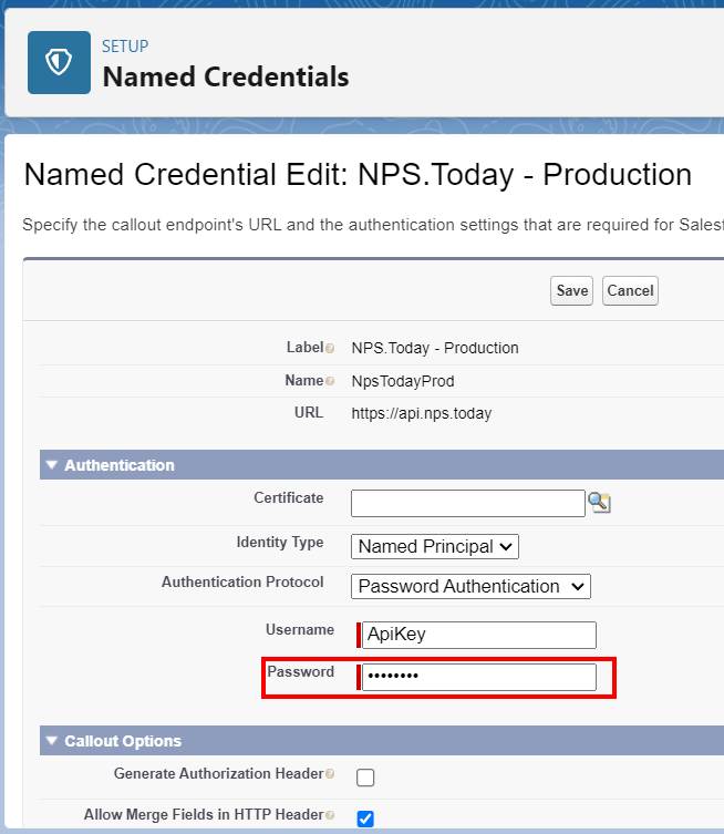 Named credentials - password